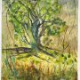 L’ulivo  (the olive tree)