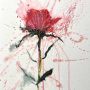 La Rosa selvaggia  (Wild rose)