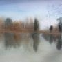 Specchio  (Mirror)