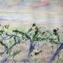 Alba sull’agrumeto  (Sunrise over the citrus grove)
