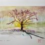 Cedono al Vento  (Give way to the wind)
