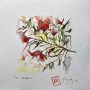 Il roseto  (The rose garden)