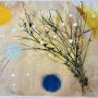 La mia mimosa. Le stagioni. Il giorno.  (My mimosa. The seasons. The day.)