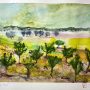 Tra gli ulivi  (Among the olive trees)