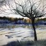 Un albero  (A tree)