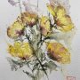fiori di campo 1  (wildflowers 1)