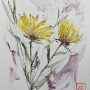 fiori di campo 2  (Wildflowers 2)