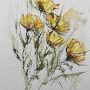 fiori di campo 3  (wildflowers 3)