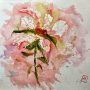 Une fleur