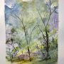 Un bosco  (A forest)